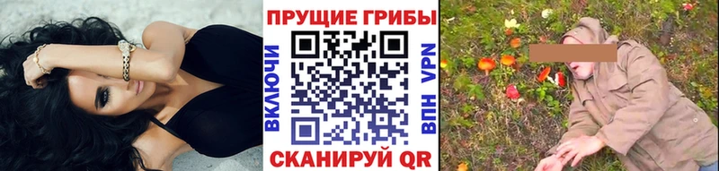Псилоцибиновые грибы Magic Shrooms  цены   Тавда 